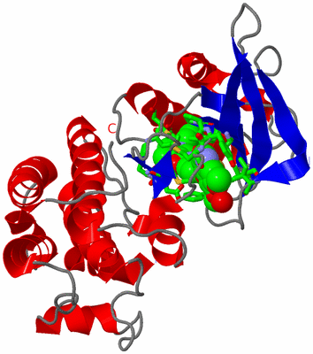 Image Asym. Unit - sites