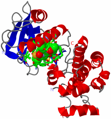 Image Asym. Unit - sites