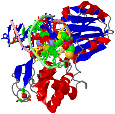 Image Asym./Biol. Unit - sites