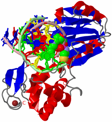 Image Asym./Biol. Unit