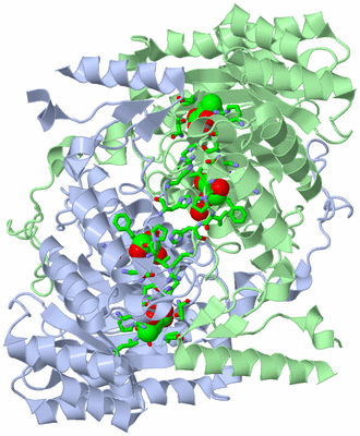 Image Asym./Biol. Unit - sites