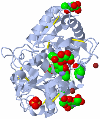 Image Asym./Biol. Unit