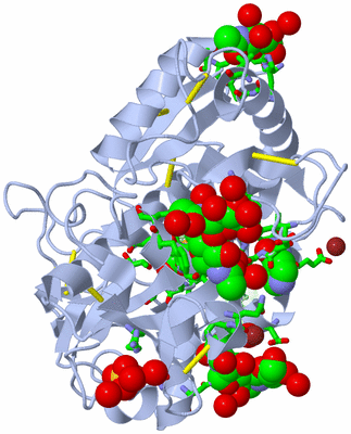 Image Asym./Biol. Unit - sites