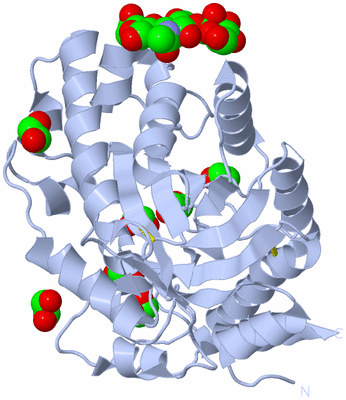 Image Biological Unit 1