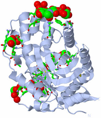 Image Biol. Unit 1 - sites