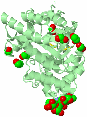 Image Biological Unit 2