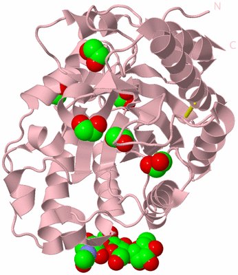 Image Biological Unit 3