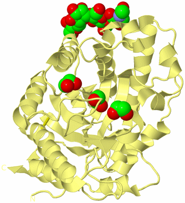 Image Biological Unit 4