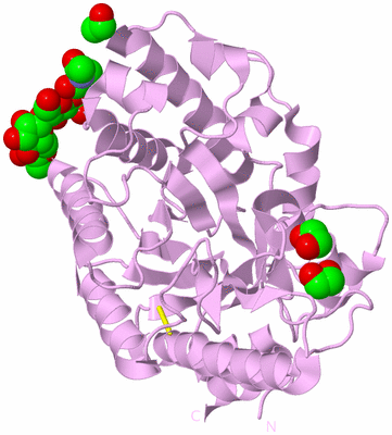 Image Biological Unit 5