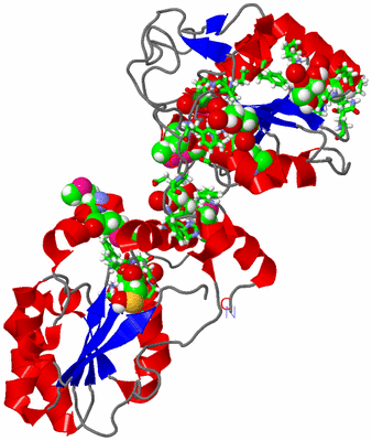 Image Asym./Biol. Unit - sites