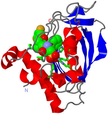 Image Asym./Biol. Unit - sites