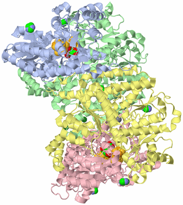 Image Asym./Biol. Unit