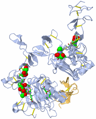 Image Biol. Unit 1 - sites