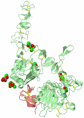 Image Biological Unit 2