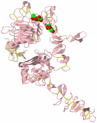 Image Biological Unit 3