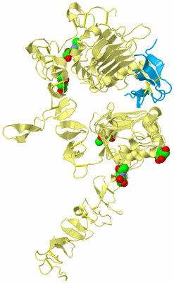 Image Biological Unit 4