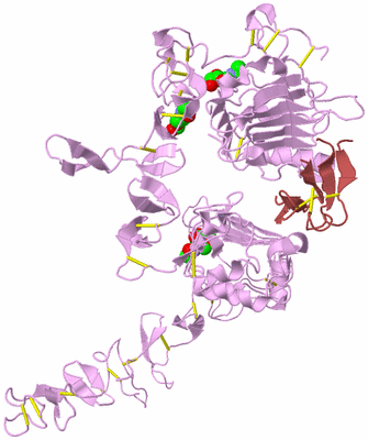 Image Biological Unit 5