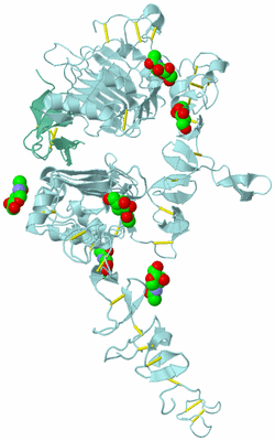 Image Biological Unit 6