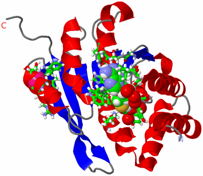 Image Asym./Biol. Unit - sites