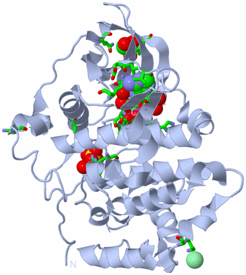 Image Biol. Unit 1 - sites