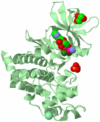 Image Biological Unit 2