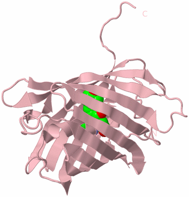 Image Biological Unit 3