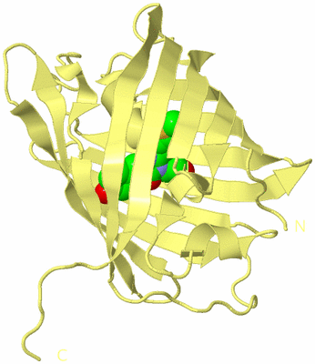 Image Biological Unit 4