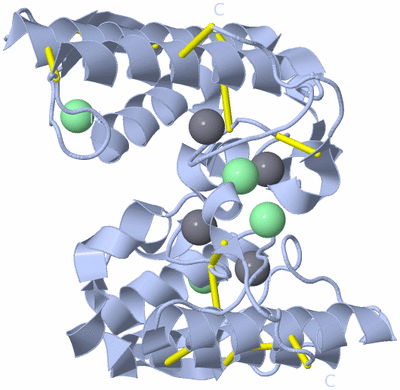 Image Biological Unit 2