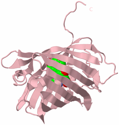 Image Biological Unit 3