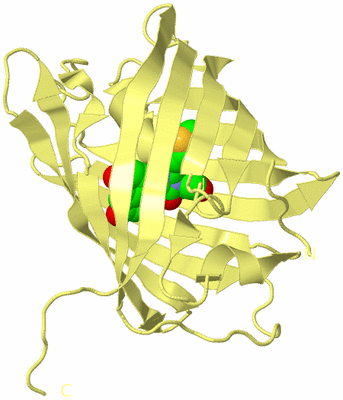 Image Biological Unit 4