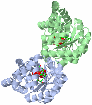 Image Asym./Biol. Unit - sites