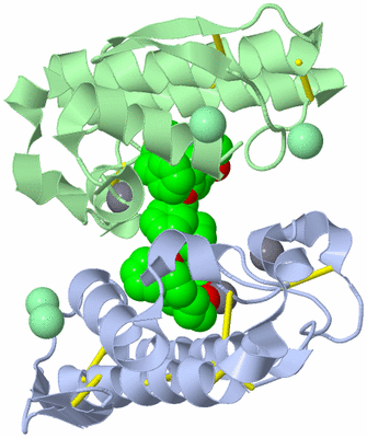 Image Biological Unit 3