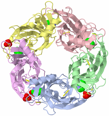 Image Biological Unit 1