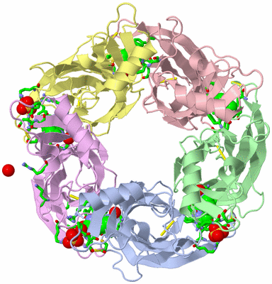 Image Biol. Unit 1 - sites