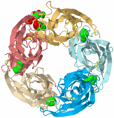 Image Biological Unit 2