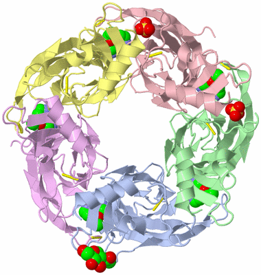 Image Biological Unit 1