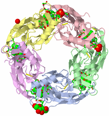 Image Biol. Unit 1 - sites