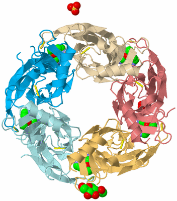 Image Biological Unit 2