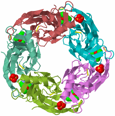 Image Biological Unit 3