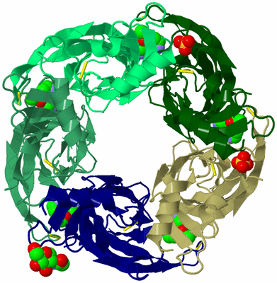 Image Biological Unit 4