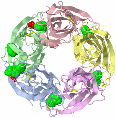 Image Biological Unit 1