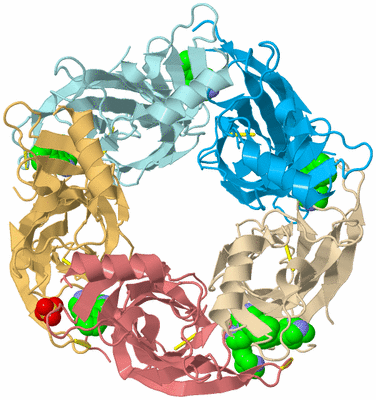 Image Biological Unit 2