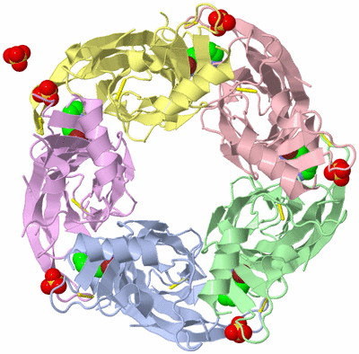 Image Biological Unit 1