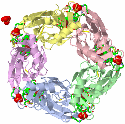 Image Biol. Unit 1 - sites