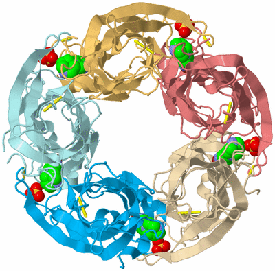 Image Biological Unit 2