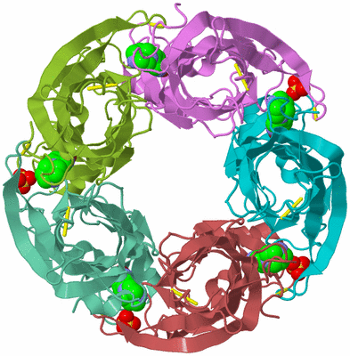 Image Biological Unit 3