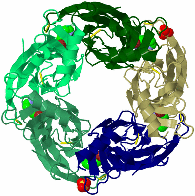 Image Biological Unit 4