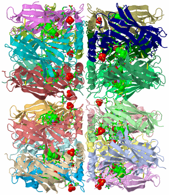 Image Asym. Unit - sites