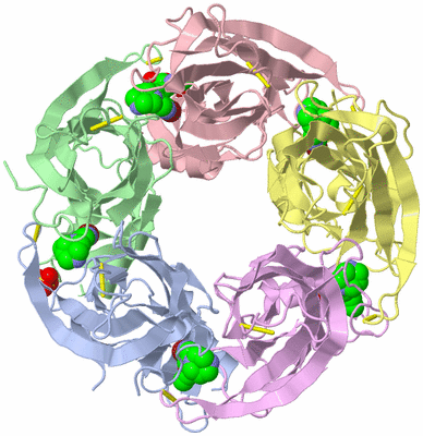 Image Biological Unit 1