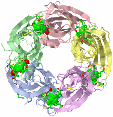 Image Biol. Unit 1 - sites